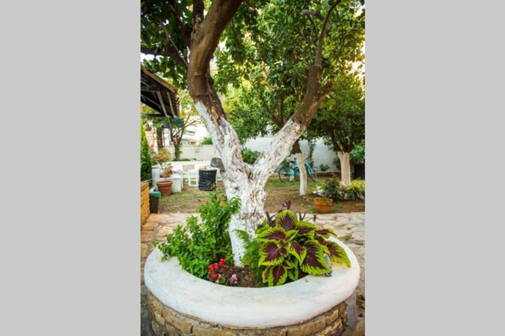 Oasis Villa Preveza Exteriör bild